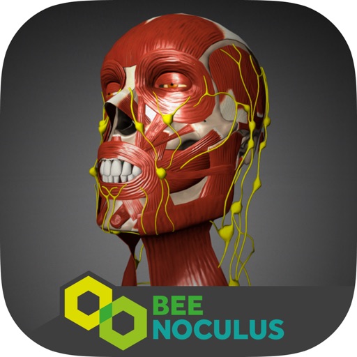 Head Anatomy - Virtual Reality Medicine icon
