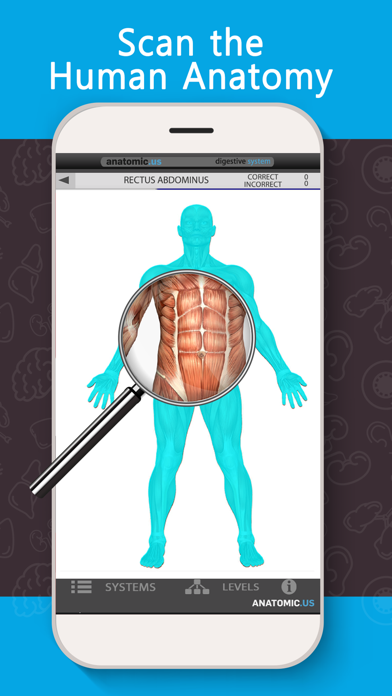 Anatomy Game Anatomicus Screenshot 5