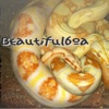 Beautifulboa