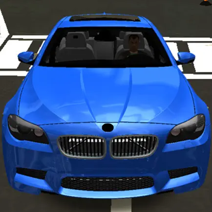 M5 Driving Simulator 2017 Pro Cheats