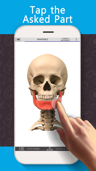 Anatomy Game Anatomicus Screenshot 4