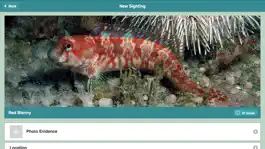 Game screenshot Sealife Tracker apk