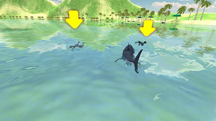 Shark Hunting Attack