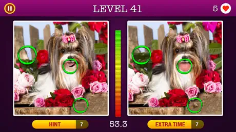 5 Differences ~ Spot the Hidden Objects!
