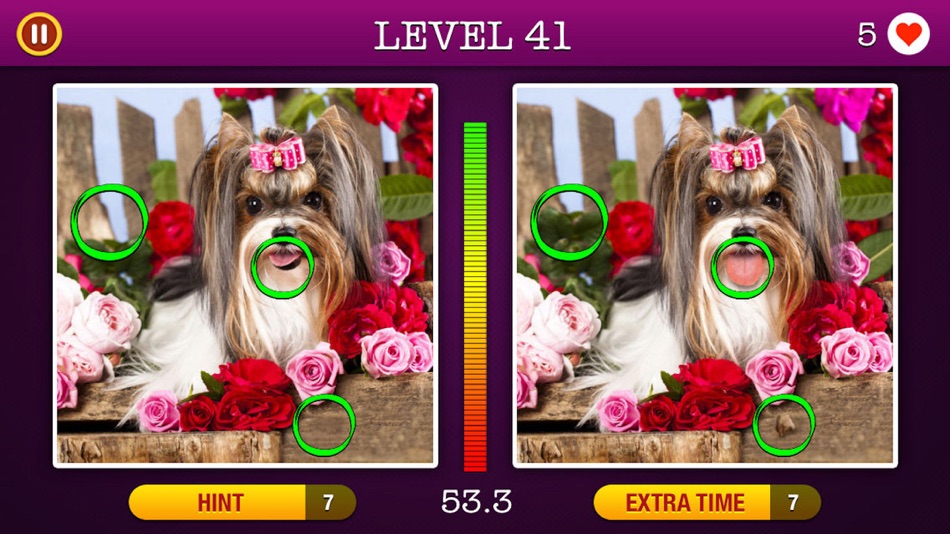 #4. 5 Differences ~ Spot the Hidden Objects! (iOS) By: Gabriel Silviu Stefan