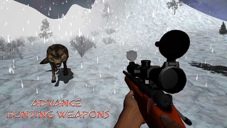 Wild Wolf Snow Hunting: Safari Shooting screenshot-3