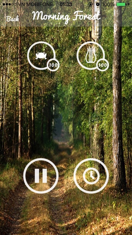 Forest Sounds - Forest Music,Sound Therapy screenshot-3