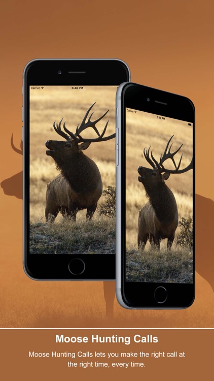 Elk Calls: Hunting Calls