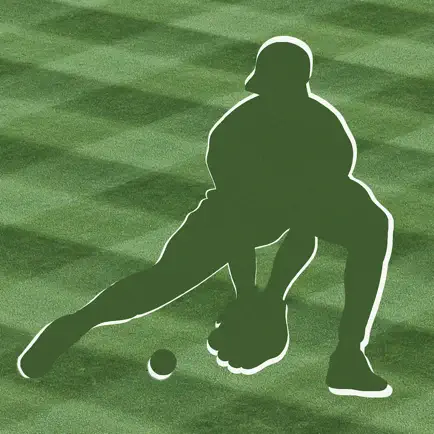 Play Ball Lineup  - Youth Baseball and Softball Lineup Maker Читы
