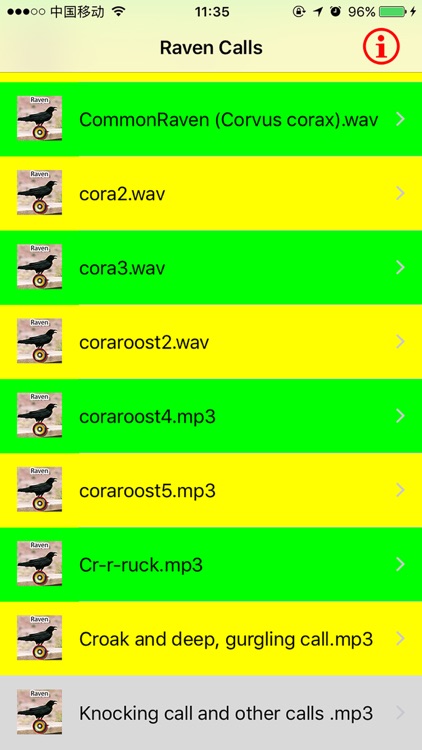 Real Raven Hunting Calls & Sounds