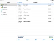 Ace Budget 3 ipad bilder 3