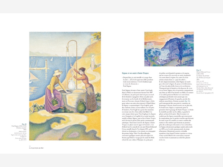 De Cézanne à Matisse : Le Grand Atelier du Midi screenshot-4