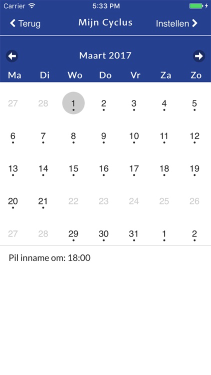 Boots PilService