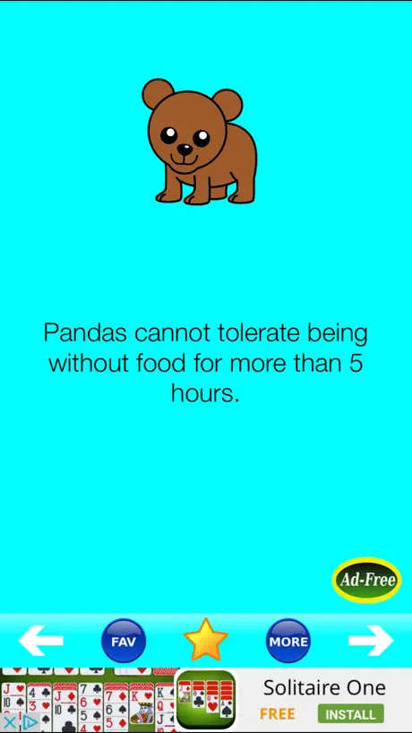 Animal Fun Facts