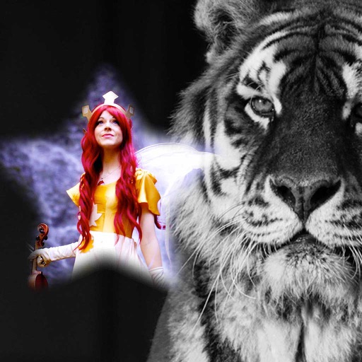 Tiger Photo Frame Best Photo Frame Editor by Kaushik Godhani