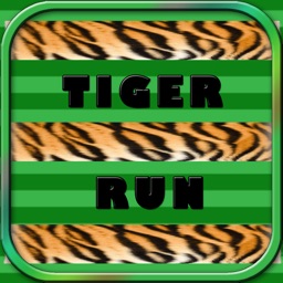 Extreme Tiger Run - Catching Rabbits Simulator