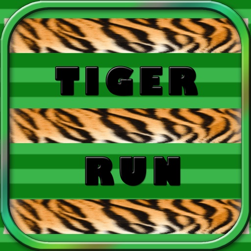 Extreme Tiger Run - Catching Rabbits Simulator