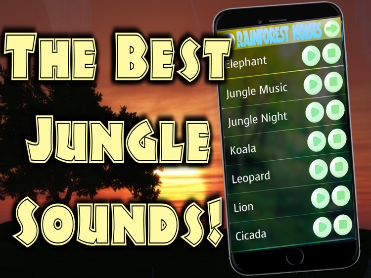 Jungle Sounds HD by Rachel Conwell