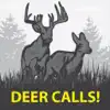 Deer Calls Pro for Whitetail Buck Hunting problems & troubleshooting and solutions