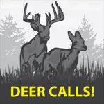 Deer Calls Pro for Whitetail Buck Hunting App Support