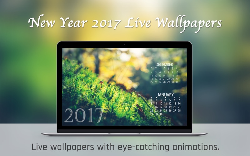 Screenshot #2 pour Holiday VideoWall - Christmas