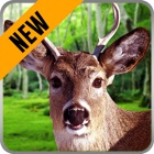 Top 40 Games Apps Like Animals Hunting Play : Hunting Simulation Game - Best Alternatives