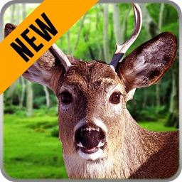 Animals Hunting Play : Hunting Simulation Game