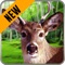 Hello animal hunting games champs, we bring an excellent animal hunting 3D game simulation for your hunting fun and adventure