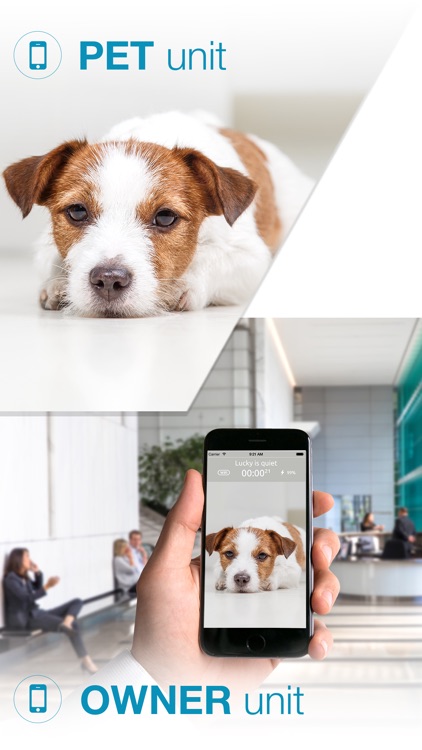 Dog Monitor: Pet Watcher & Sitter Cam, WiFi,LTE,3G
