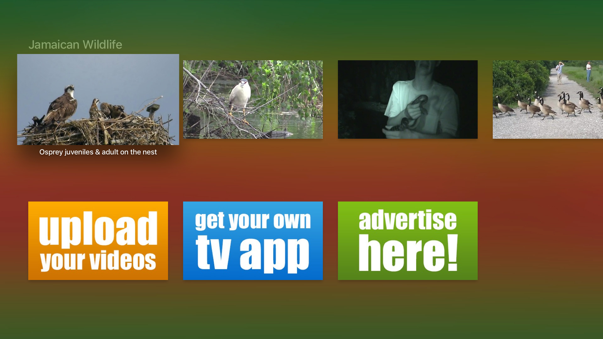 The Jamaica Channel screenshot 3