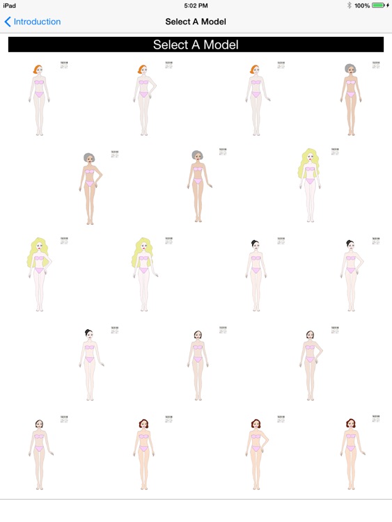 Fashion Artist