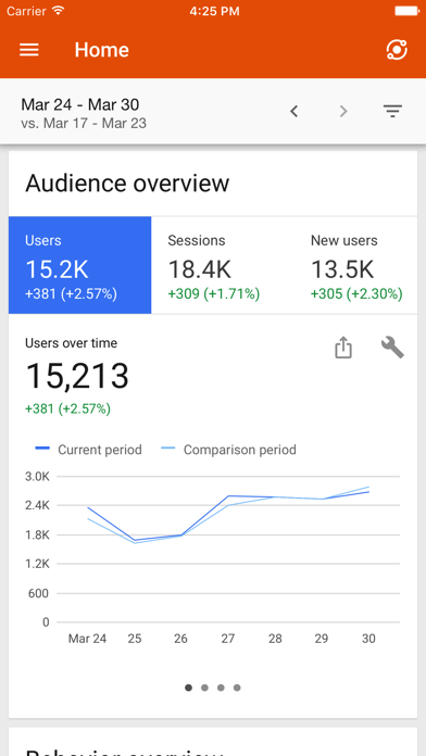 Google Analytics Screenshot 1