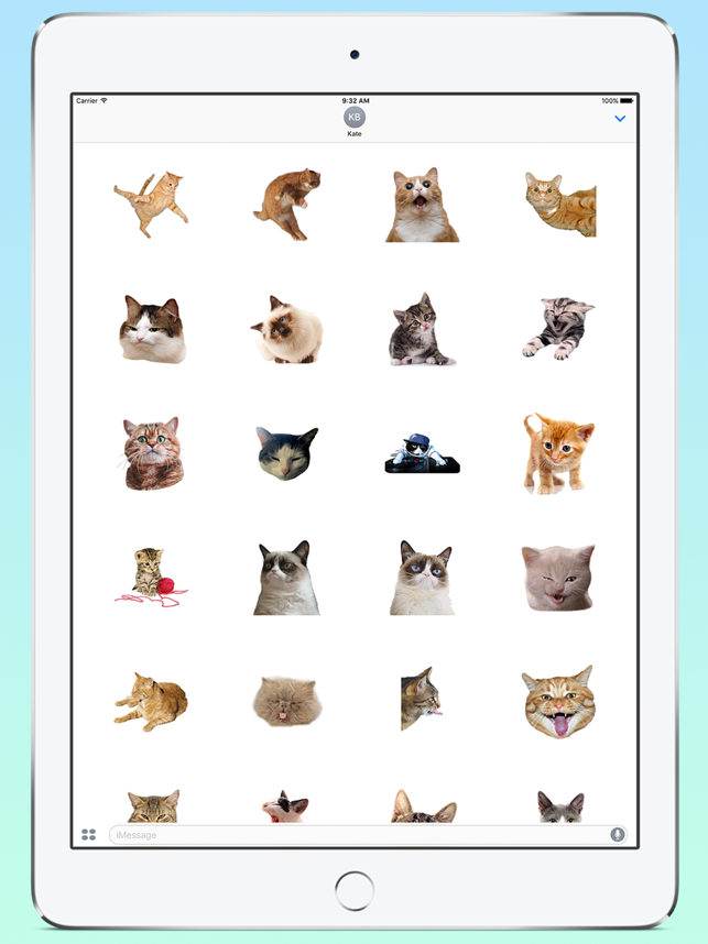 ‎Fresh Cats Screenshot