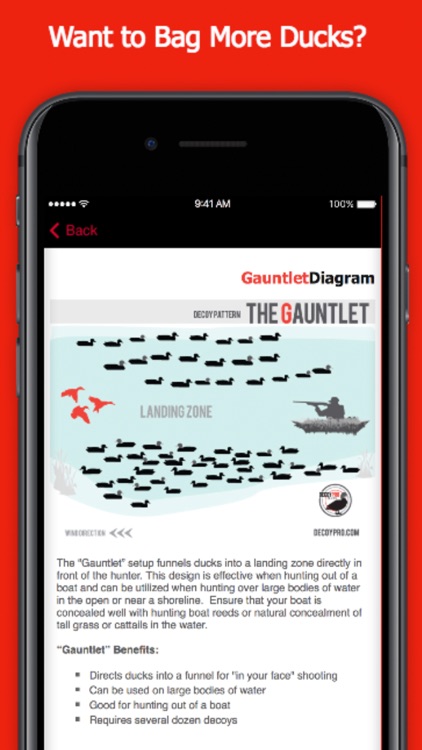 Duck Hunting Spreads & Diagrams - Duck Hunting App