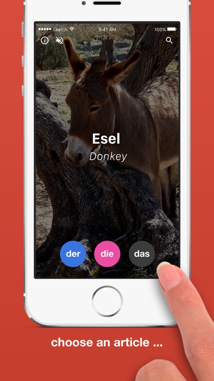 Der Die Das App - learn german articles