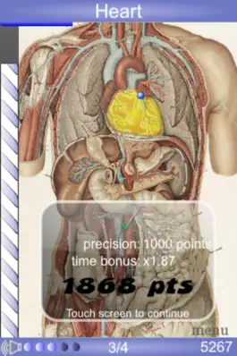 Game screenshot Speed Anatomy (Quiz) mod apk