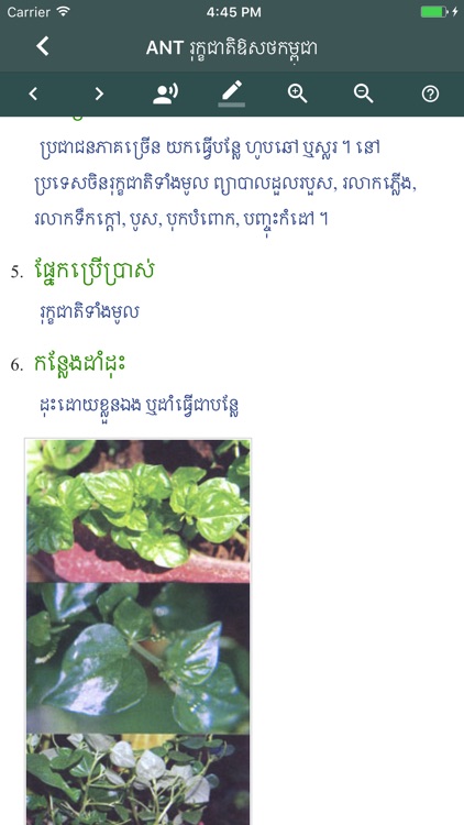 ANT Khmer Medicinal Plants