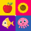 Sorter - Toddler & Baby Educational Learning Games - Gennadii Zakharov