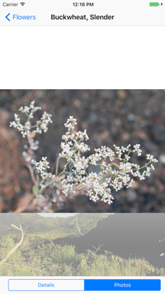 Craters of the Moon - Flowers screenshot 4