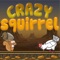 Be crazy with this twisted squirrel avoiding and shooting to your enemies , have fun end enjoy this madness game
