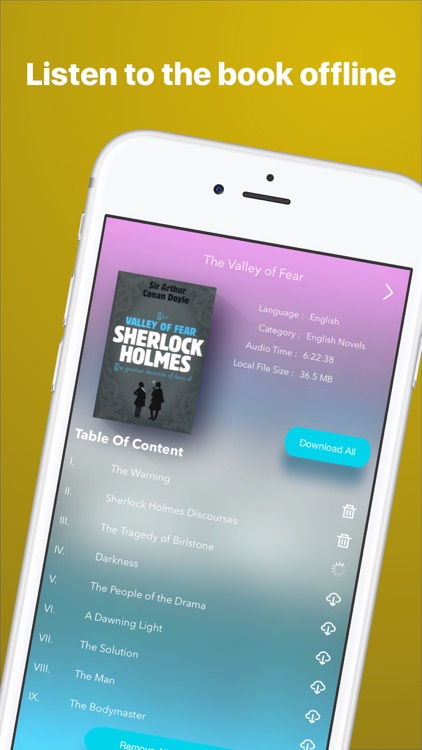 AudioBookPlus: The Valley of Fear