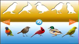 Game screenshot Fun Learning Birds Stencil for Kids apk