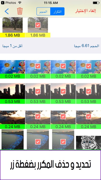 منظف الالبوم بلس