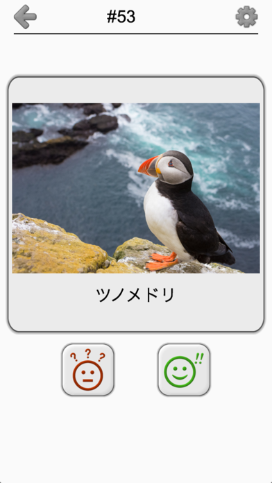世界の鳥 - 地球の有名な鳥のクイズ screenshot1
