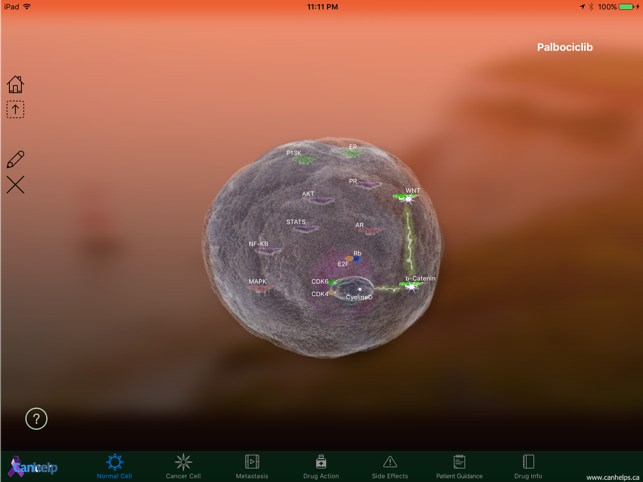 Palbociclib(圖1)-速報App