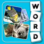 Pic Quiz Logo Word Guess Game - What's the Pic? App Problems