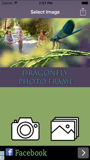 Dragonfly HD Photo Collage Frame