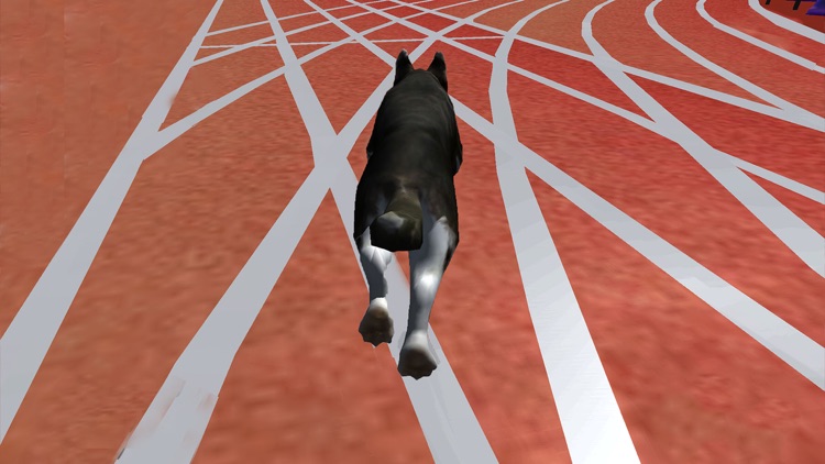 Ultimate Dog Racing : Virtual Stray Simulator 2017