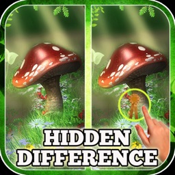 Hidden Difference: Gift of Spring