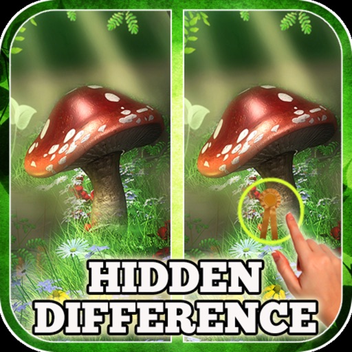 247 hidden differences